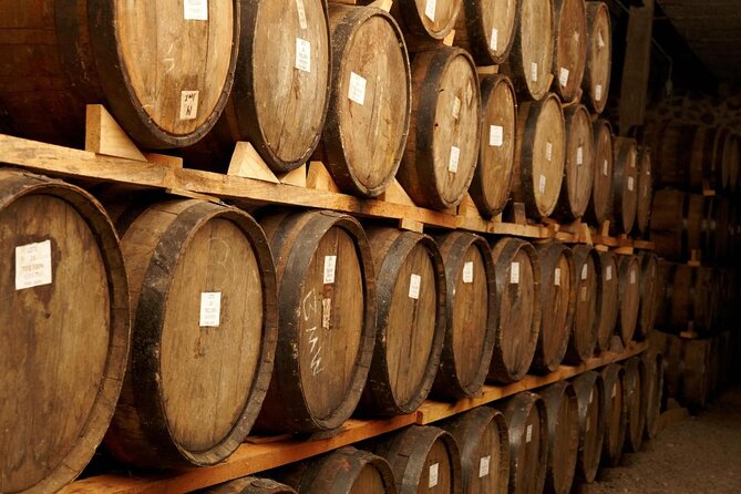 Full-Day Tequila Tour From Guadalajara - Itinerary Highlights