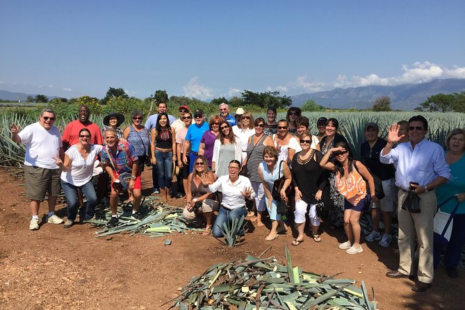 Full-Day Tequila Tour From Guadalajara - Traveler Feedback
