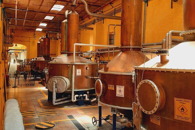 full day Tequila tour visiting artisanal distillery and downtown. - Final Thoughts