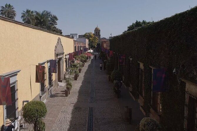 full day Tequila tour visiting artisanal distillery and downtown. - FAQs