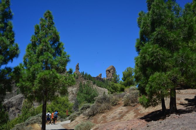 Full Day to Bandama Volcano, Center and High Peaks of Gran Canaria & Roque Nublo - Important Considerations