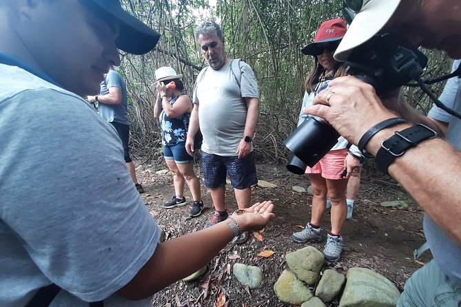 Full Day to Ecological Reserve Churute Mangrove and Cocoa Farm Visit - Good To Know