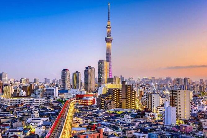Full Day Tokyo Private City Tour - Inclusions