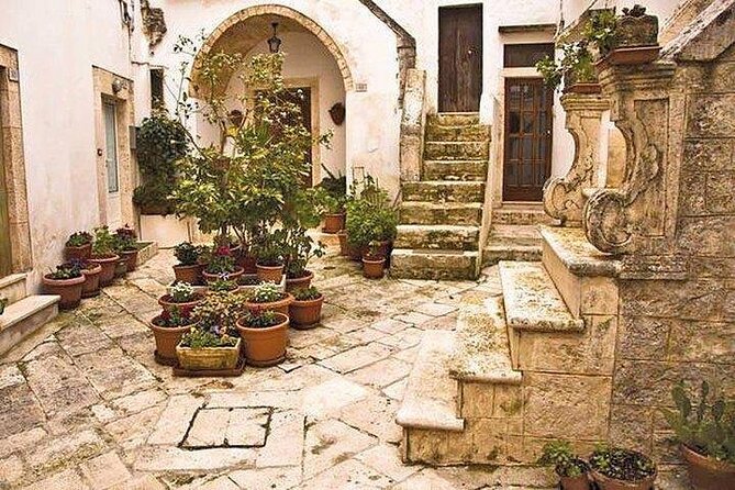 Full-Day Tour Alberobello & Locorotondo & Polignano a Mare & Bari - Reviews and Feedback