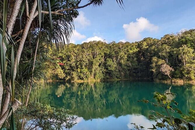 Full-day Tour at the Atherton Tablelands with Food Tasting - Key Points