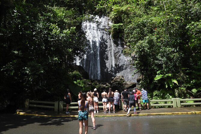 Full-Day Tour: El Yunque, Luquillo Beach, Bio Bay Night Kayaking - The Sum Up