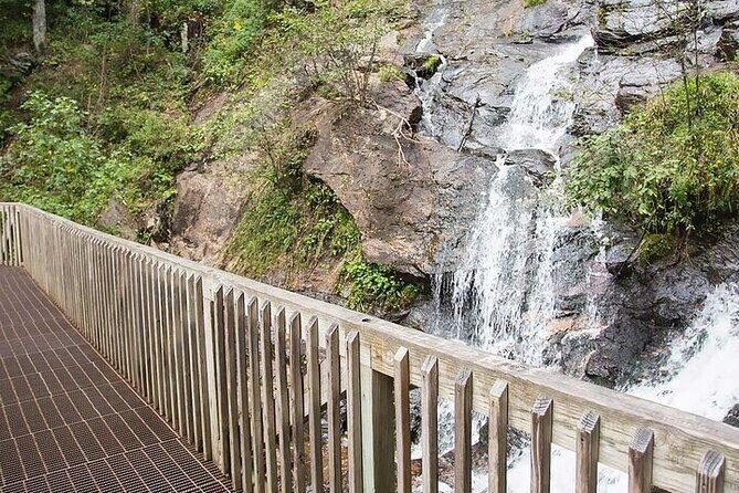 Full Day Tour from Atlanta to Amicalola Falls and Blue Ridge - Analyzing the Value