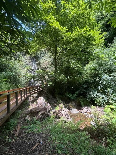 Full Day Tour from Batumi to Waterfalls - A Deep Dive into the Experience