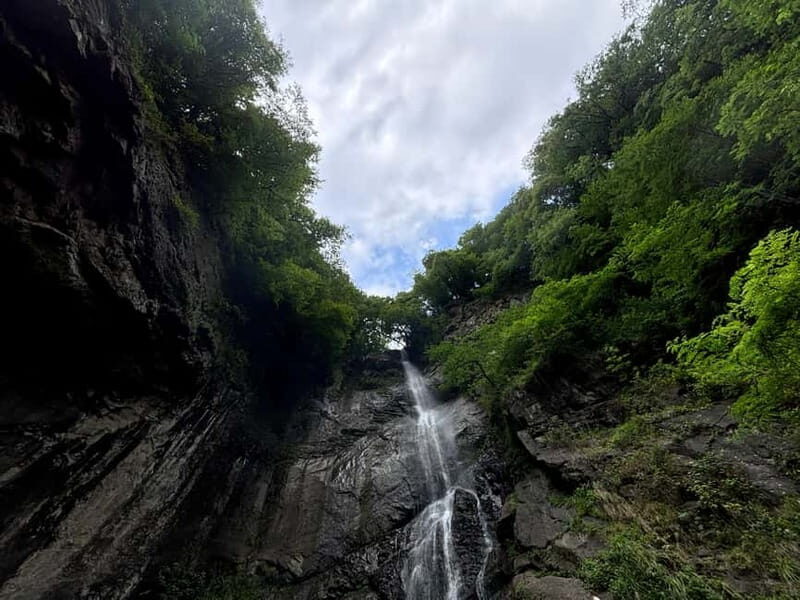 Full Day Tour from Batumi to Waterfalls - FAQs
