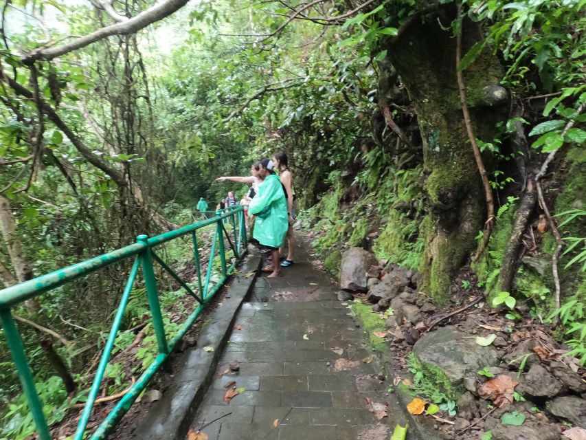 Full Day Tour From Mataram or Senggi to Senaru Waterfalls - Key Points