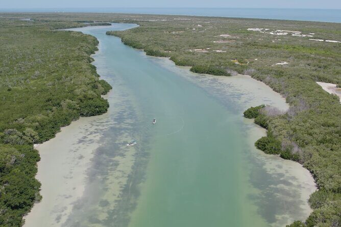 Full Day Tour from Tulum to Rio Lagartos - FAQ