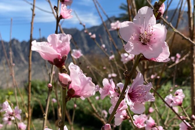 Full Day Tour From Wakan to Jebel Akhdar Trekking - What to Expect