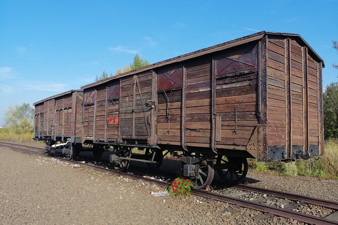 Full-Day Tour From Warsaw to Auschwitz (Guided) and Krakow by Car - Krakow Visit Insights