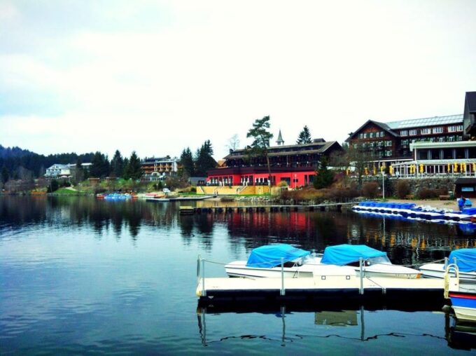 Full-Day Tour From Zurich to Lake Titisee Black Forest - Language and Communication Options