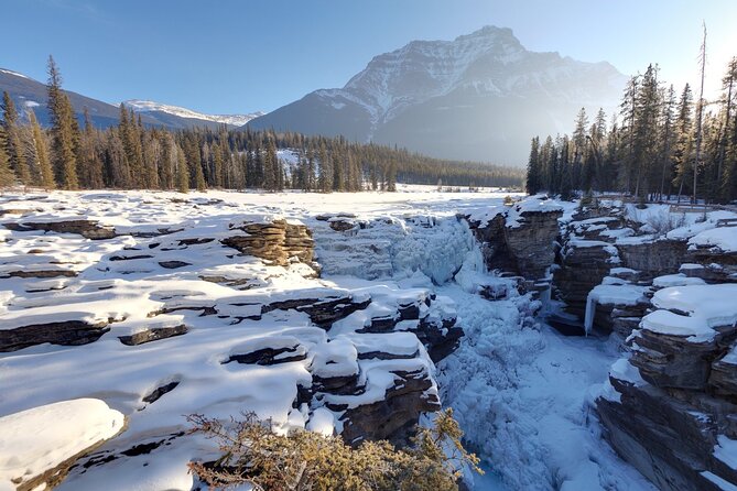 Full Day Tour in Lake Louise and Ice Field Parkway - Frequently Asked Questions