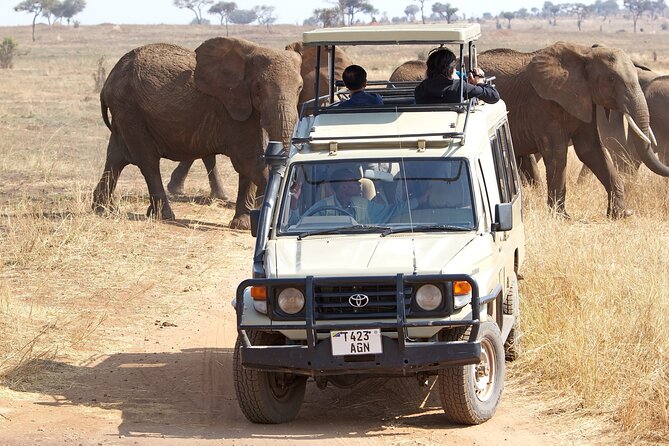 Full Day Tour in Ngorongoro Conservation Area Tanzania - Itinerary Overview