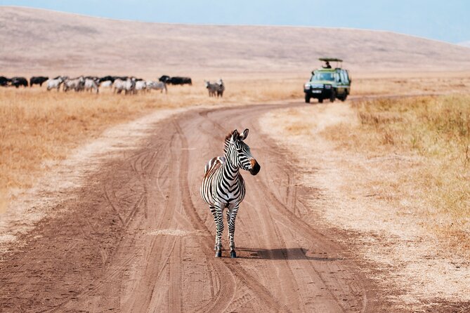 Full Day Tour in Ngorongoro Conservation Area Tanzania - Booking Your Tour