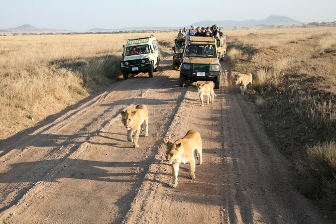 Full Day Tour in Ngorongoro Conservation Area Tanzania - Frequently Asked Questions