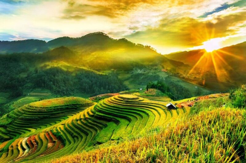 Full Day Tour in Sapa Trekking With Local Guide - Experience Unique Local Culture