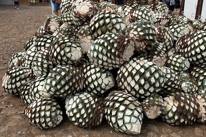 Full-Day Tour in Tequila Factory and Cantaritos El Gúero - What to Expect
