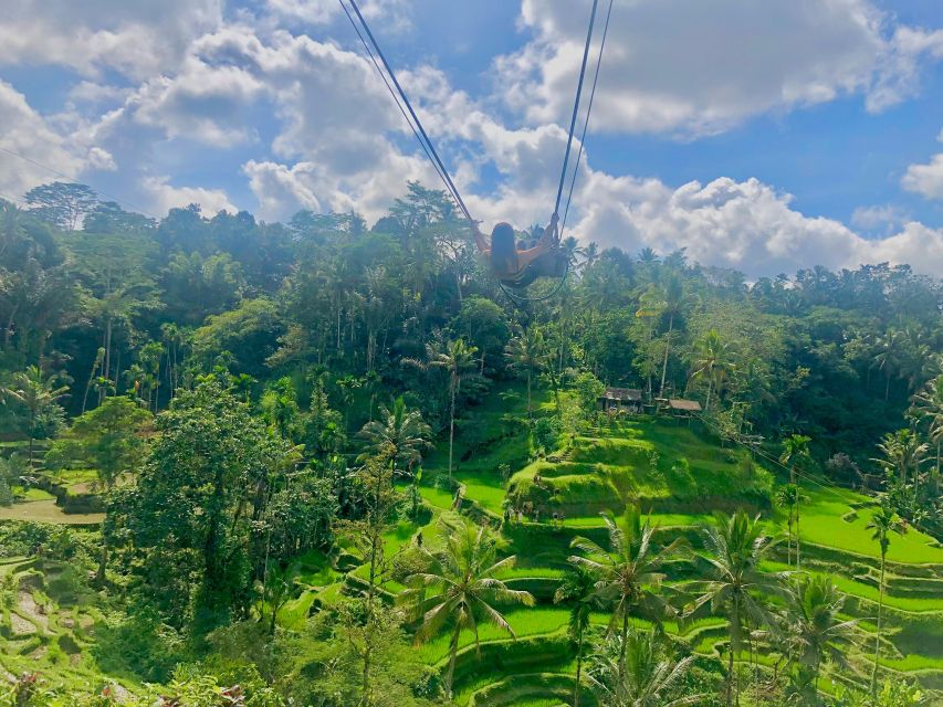 Full Day Tour in Ubud, Including Visits to a Waterfall, a Coffee Plantation, and Rice Paddies - Itinerary Details