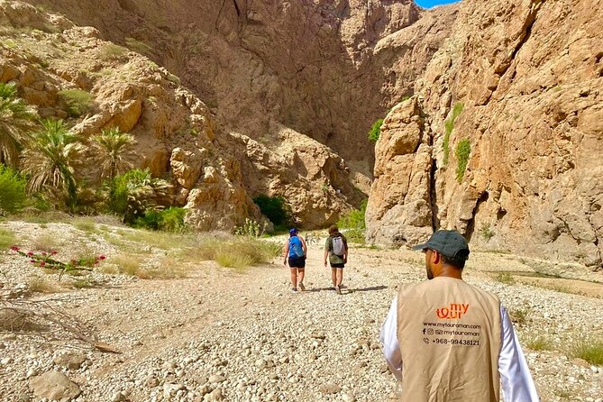 Full Day Tour in Wadi Shab - Inclusions