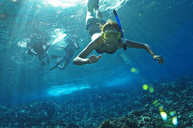 Full Day Tour Isla Marietas With Meals and Open Bar - Positive Feedback