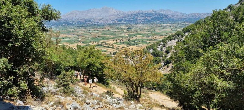 Full day tour Knossos,Zeus's land,lasithi&olive oil factory - Authentic Cretan Experiences: Why This Tour Stands Out
