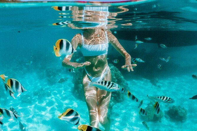 Full Day Tour : Moorea Snorkeling & Sunset Cruise on a Catamaran named Taboo - The Catamaran: Taboo