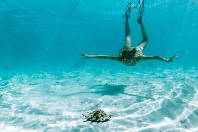 Full Day Tour : Moorea Snorkeling & Sunset Cruise on a Catamaran named Taboo - More Underwater Encounters