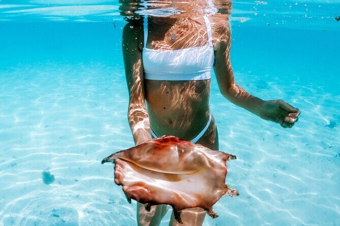 Full Day Tour : Moorea Snorkeling & Sunset Cruise on a Catamaran named Taboo - The Sunset Cruise: A Perfect Finish