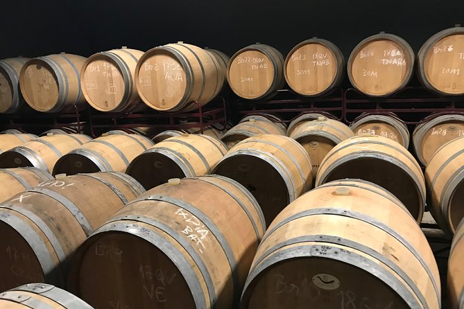 Full-Day Tour of Algarve Wineries From Albufeira - Wine Tasting at Vineyards