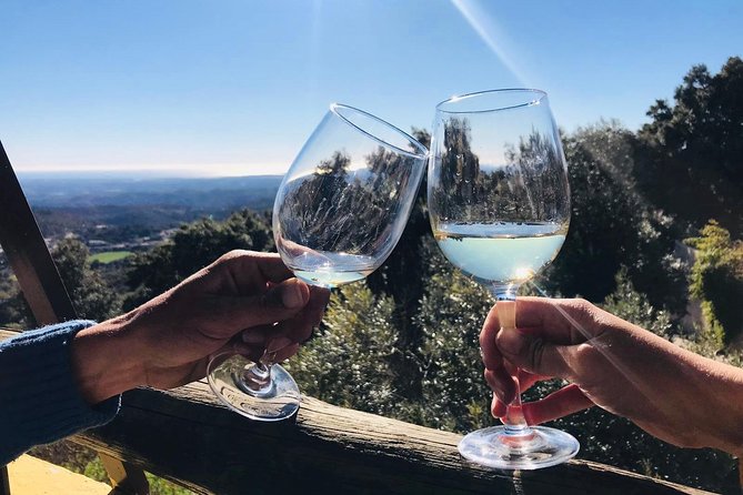 Full-Day Tour of Algarve Wineries From Albufeira - Exploration of Silves