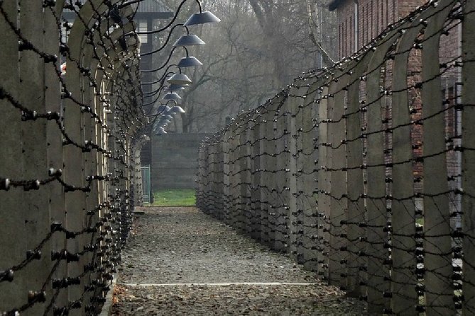 Full-Day Tour of Auschwitz-Birkenau and Salt Mine From Krakow - Inclusions and Features