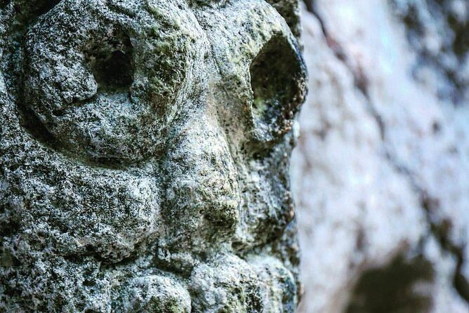 Full-Day Tour of Cayo Levantado and Los Haitises National Park - Who Will Love This Tour?