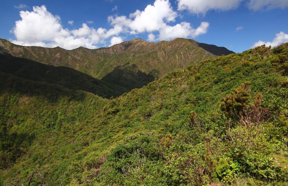 Full-Day Tour of Furnas and Nordeste €80 - Highlights of the Day