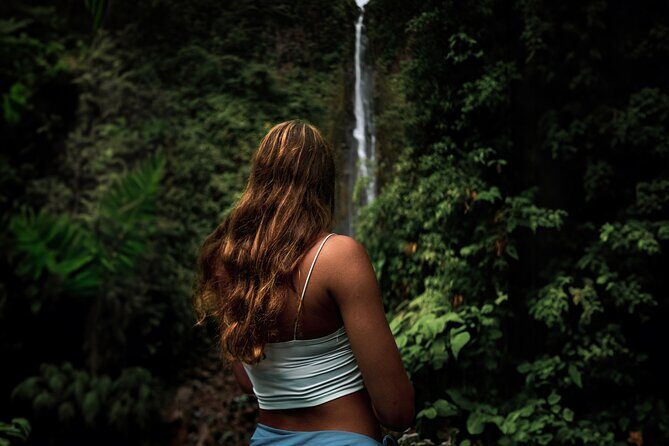 Full Day Tour of Guadeloupe - Key Points