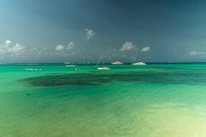 Full Day Tour of Guadeloupe - What Travelers Say