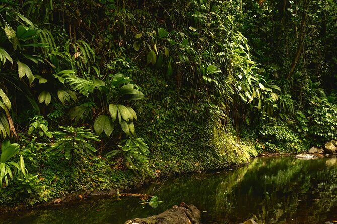 Full Day Tour of Guadeloupe - Who Will Love This Tour?