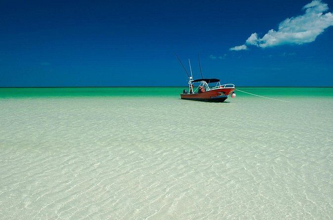 Full-Day Tour of Holbox Island with Lunch - FAQ