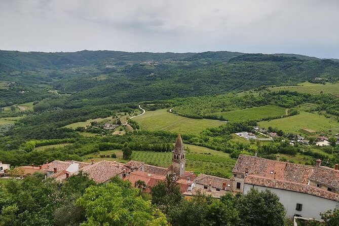 Full day tour of Istria - An In-Depth Look at the Istria Day Tour