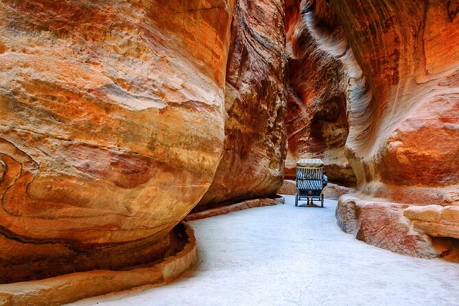 Full-Day Tour of Petra From Eilat - Traveler Feedback and Experiences