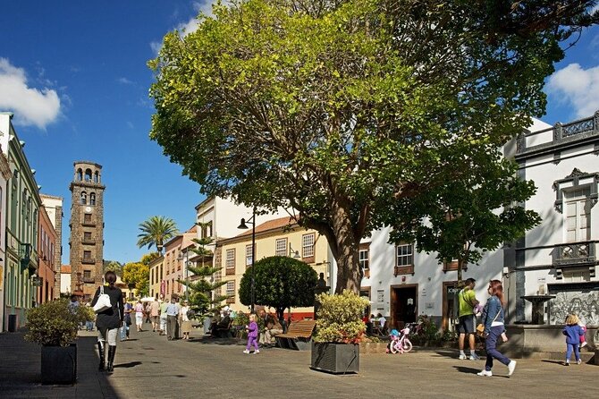 Full Day Tour of Santa Cruz and San Cristóbal De La Laguna - Key Points