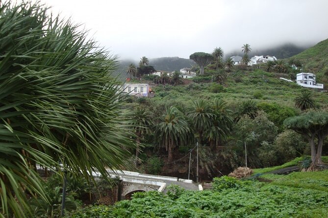 Full Day Tour of Santa Cruz and San Cristóbal De La Laguna - Traveler Reviews