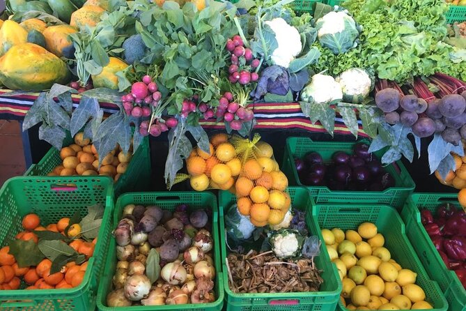 Full Day Tour of Santa Cruz and San Cristóbal De La Laguna - Sightseeing and Shopping