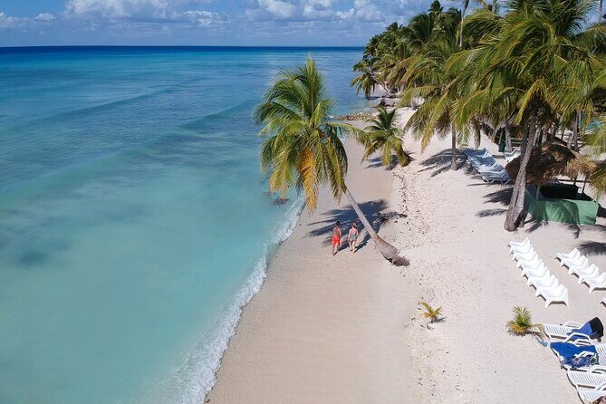 Full-Day Tour of Saona Island from Punta Cana - An Overview of the Tour Experience