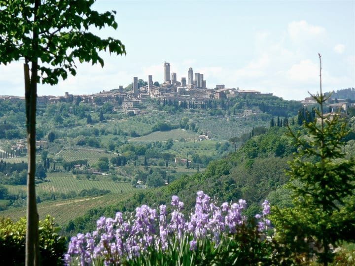 Full-Day Tour of Tuscany from Florence-small group up 8 pax - What We Think About the Price