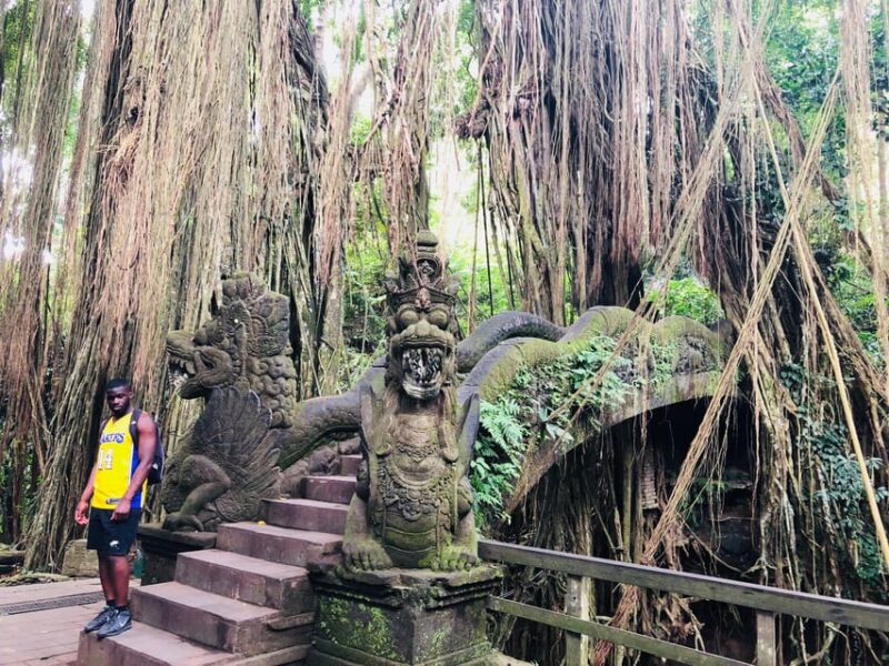Full Day Tour of Ubud & Dine in the Shadow of a Live Volcano - Experience Highlights