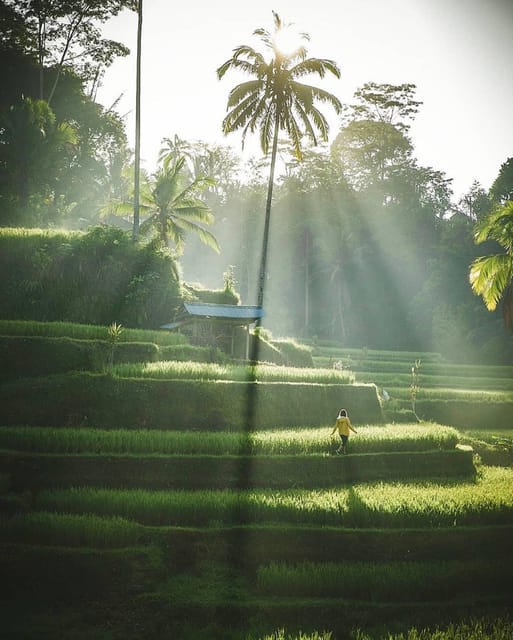 Full Day Tour of Ubud & Dine in the Shadow of a Live Volcano - Frequently Asked Questions