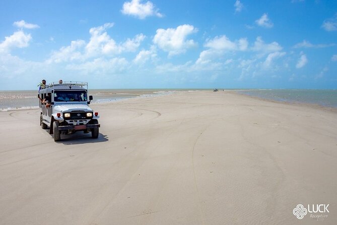 Full Day Tour on the Coqueirais Trail - Pickup Information